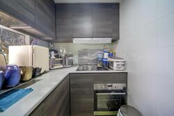 Sims Urban Oasis (D14), Condominium #500321611